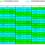 PARTIDOS FASE LIGUILLA