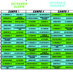 PARTIDOS FASE LIGUILLA